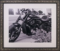 Moulding 952 Biker Silver/Black 1 5/8" Changeable Frame